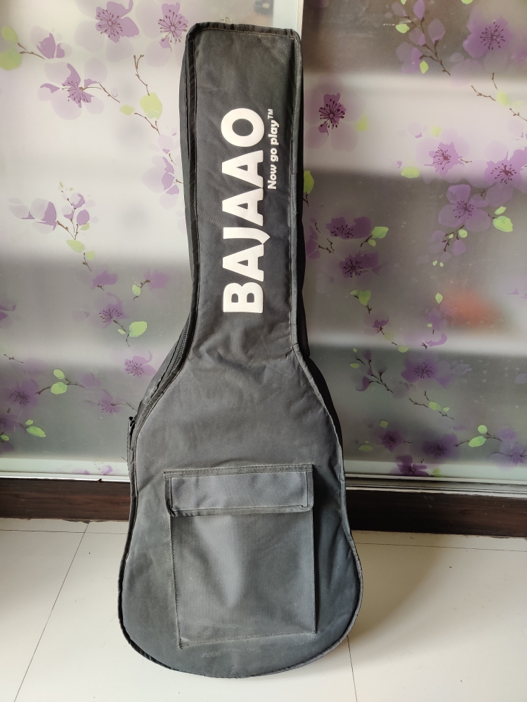 Daddario gig bag hot sale