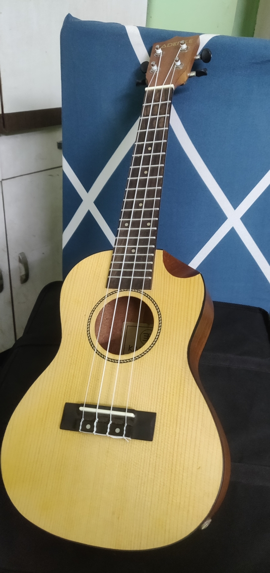 Second hand outlet ukulele