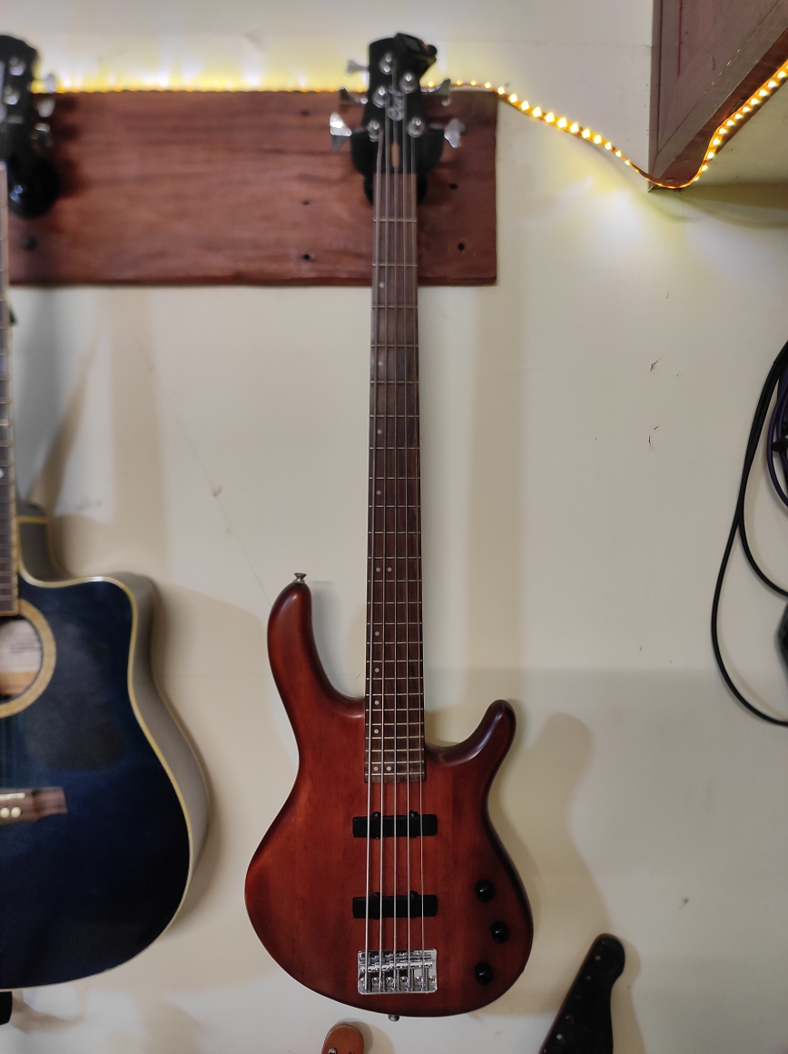Buy Used 'Cort Action V 5 String Bass' Online | Bajaao Used Gear