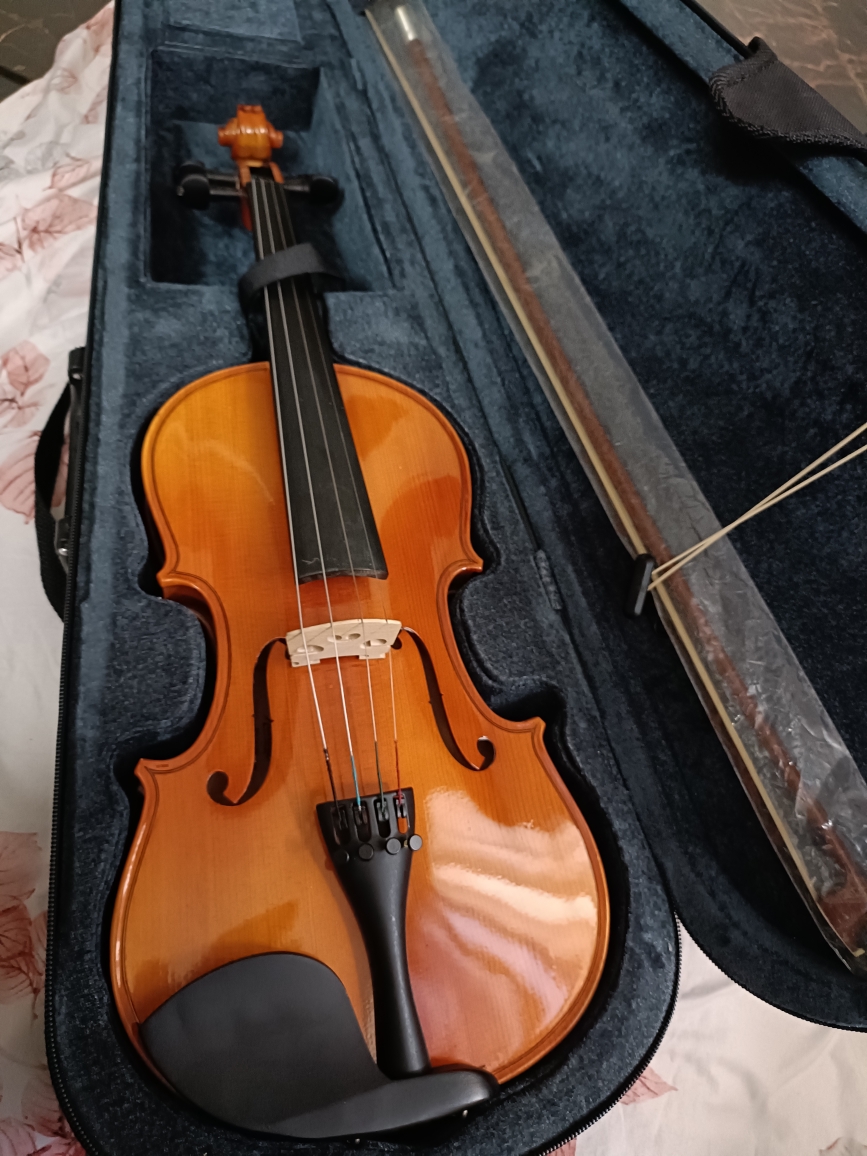 Buy shop used violin