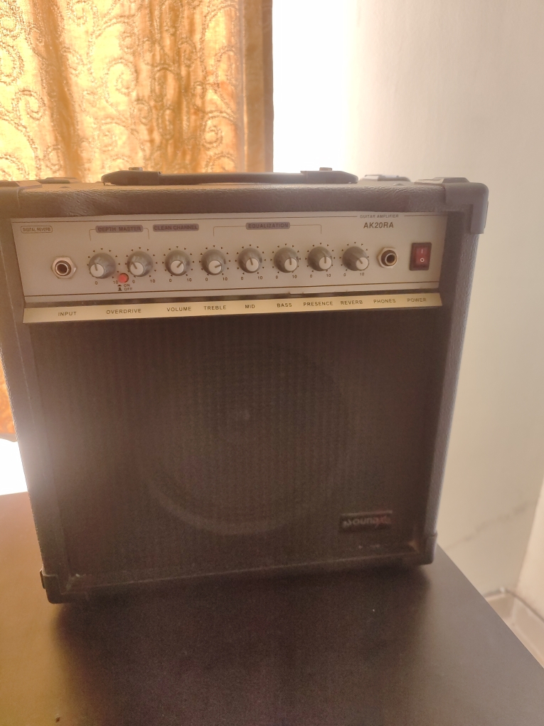 Buy Used 'Guitar Amplifier AK20RA SOUND X' Online Bajaao Used Gear
