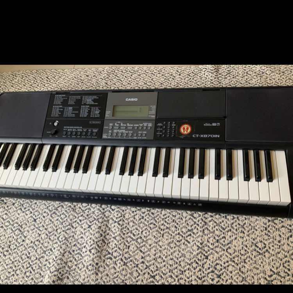 Casio hotsell ctk 870in