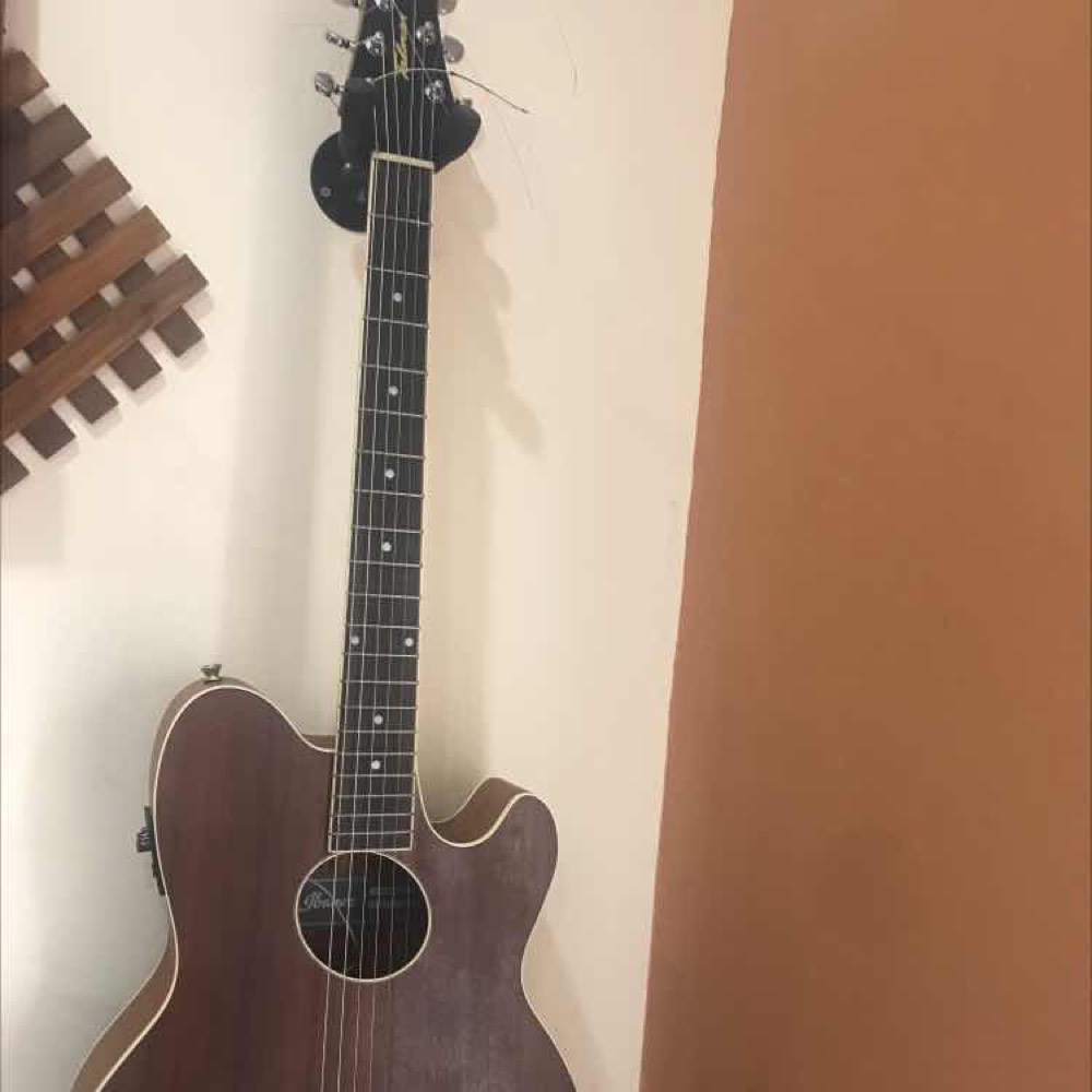 Ibanez talman store tcy12e