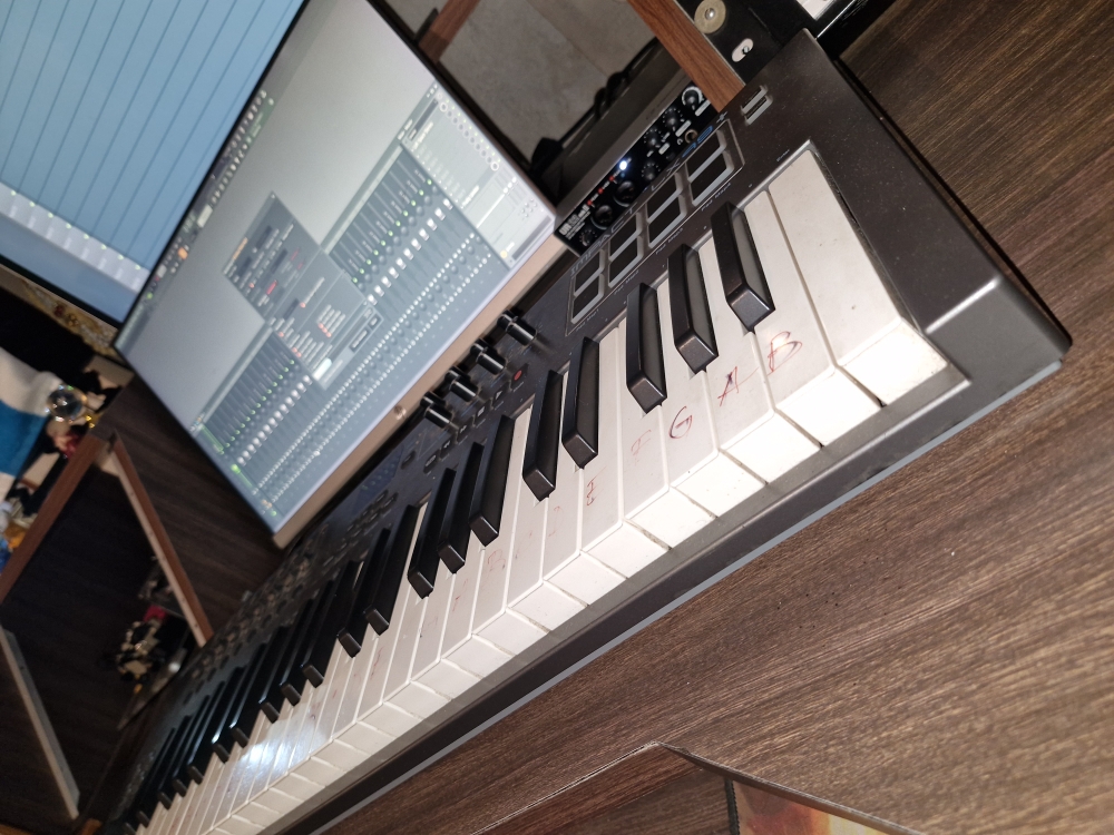 Buy Used 'Nektar LX49 Midi Keyboard For Sale' Online Bajaao Used Gear
